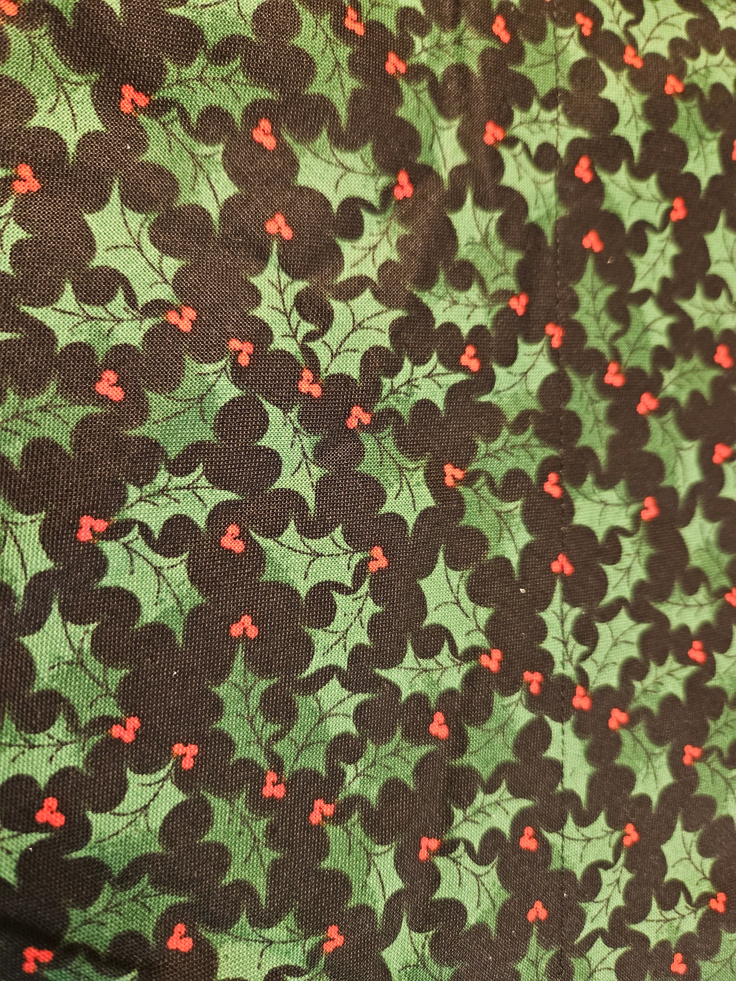 Medium Mistletoe
