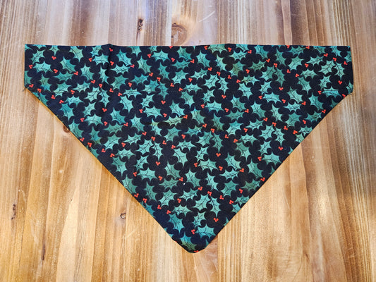 Medium Mistletoe